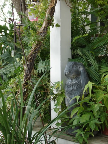 Newberry Landscape Rabbit