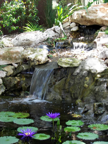 Newberry Landscape Waterfall